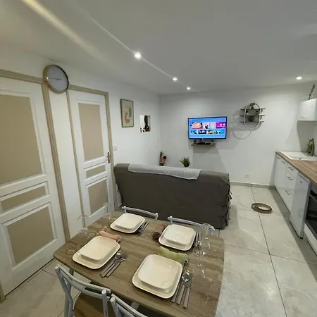 Vakantiehuis Le Cosy Du Groupama Et Ldlc Arena *
