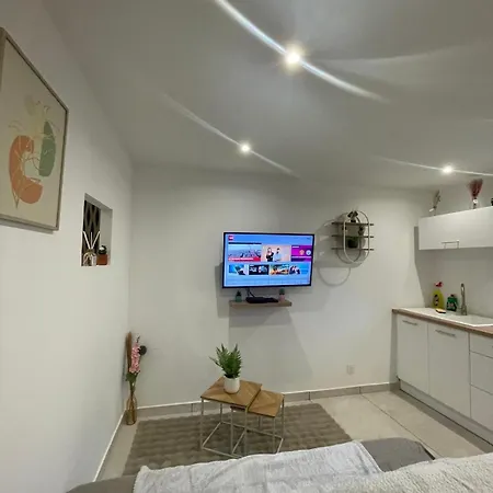 Le Cosy Du Groupama Et Ldlc Arena * Meyzieu