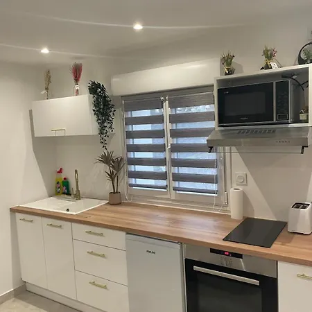 Vakantiehuis Le Cosy Du Groupama Et Ldlc Arena Meyzieu