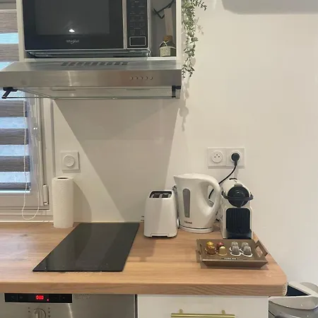 Le Cosy Du Groupama Et Ldlc Arena Vakantiehuis