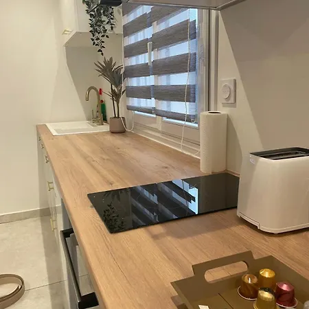 Vakantiehuis Le Cosy Du Groupama Et Ldlc Arena *