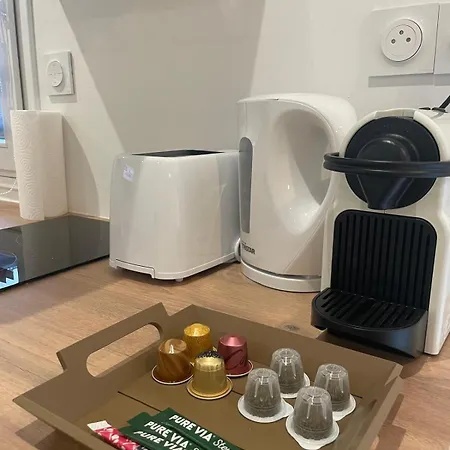 Le Cosy Du Groupama Et Ldlc Arena Vakantiehuis