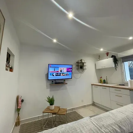 Le Cosy Du Groupama Et Ldlc Arena Feriehus Meyzieu